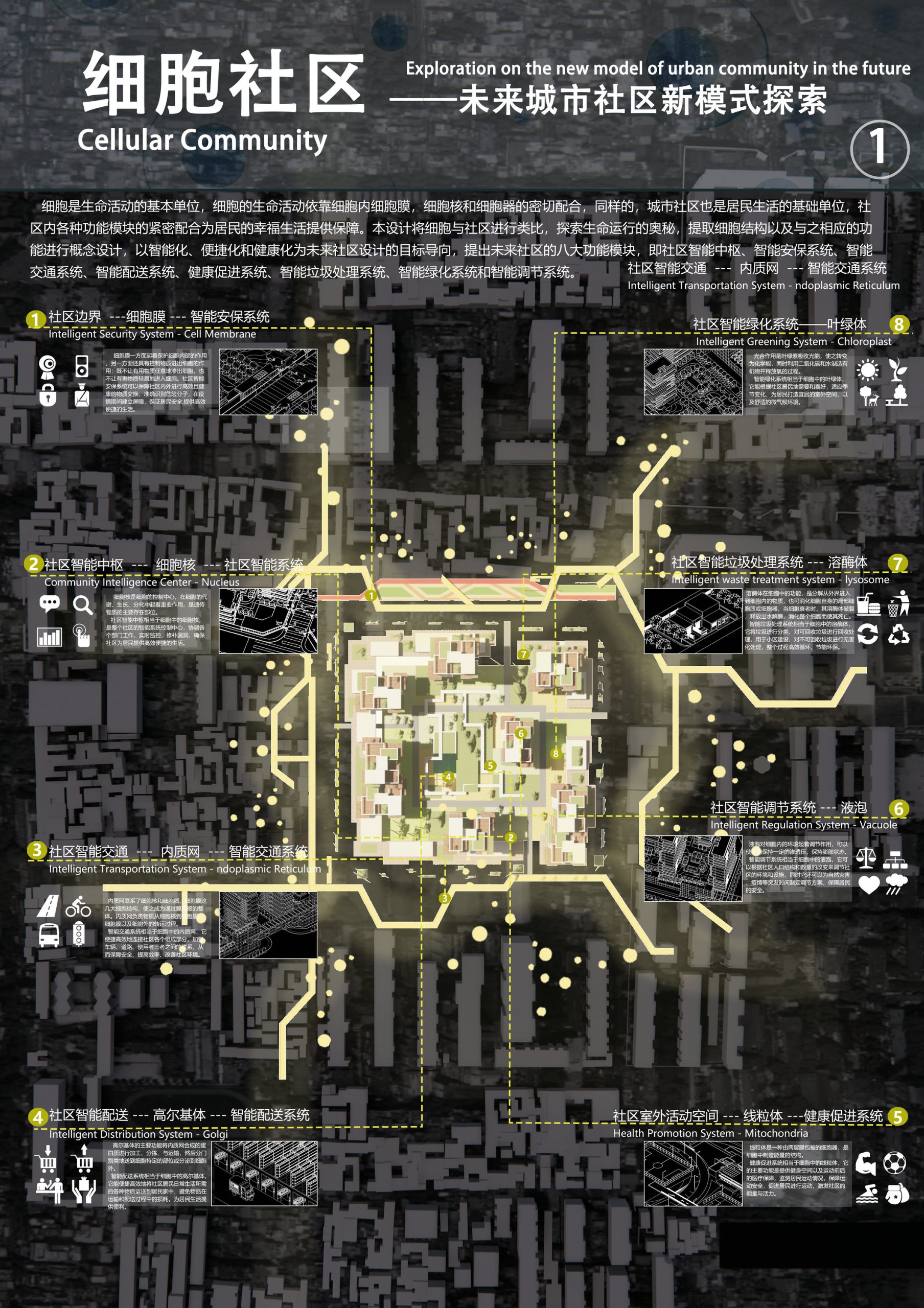 第六届中联杯三等奖：细胞社区